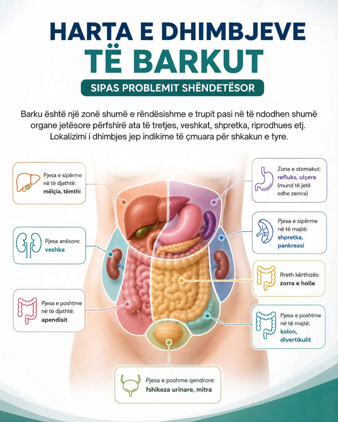 Farmagen abdominal pain map — an illustrated torso with labelled callouts locating pain by organ and condition.